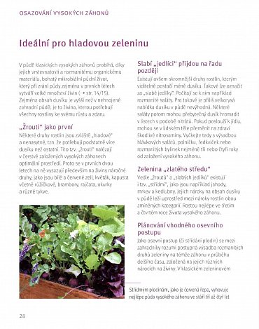 Náhled Vysoké záhony - Chytře zahradničit a bohatě sklízet