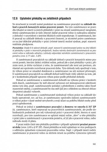 Náhled Překážky v práci na straně zaměstnance i zaměstnavatele