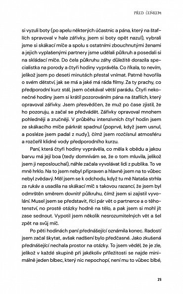 Náhled Deníček moderního fotra aneb Proč by muži neměli mít děti, 3.  vydání