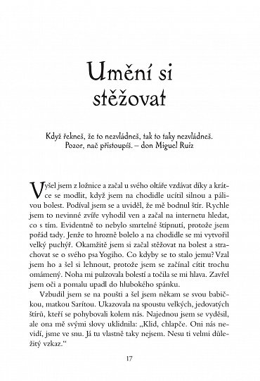 Náhled Můj dobrý přítel chřestýš