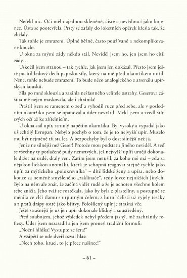 Náhled Šerá hlídka