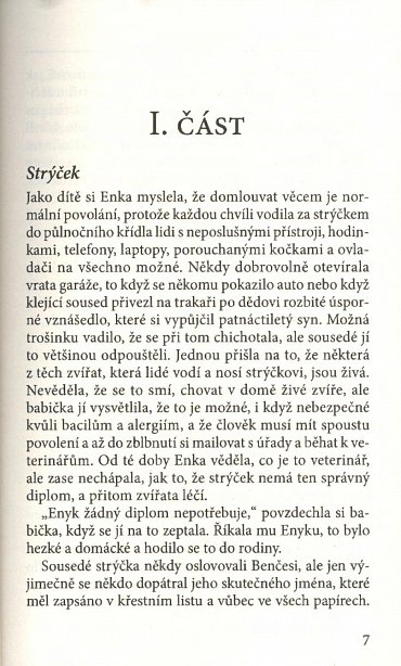 Náhled Jáma a dům - Fantasy thriller