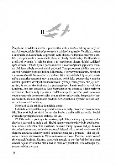 Náhled Údolí havranů, 2.  vydání