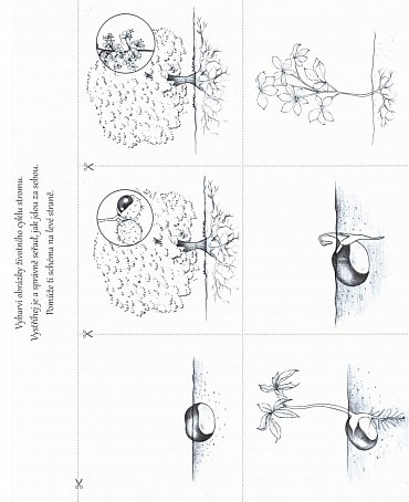 Náhled Montessori - aktivity pro děti