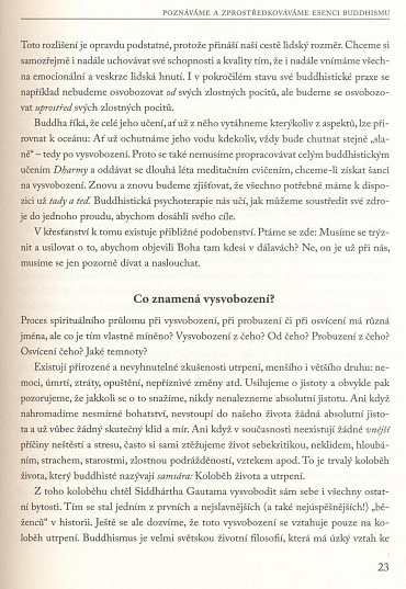 Náhled Buddhistická psychoterapie - Techniky pro uzdravující změny