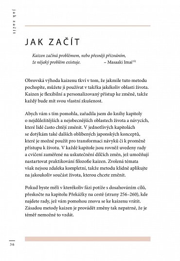 Náhled Kaizen - Japonská metoda postupné změny návyků