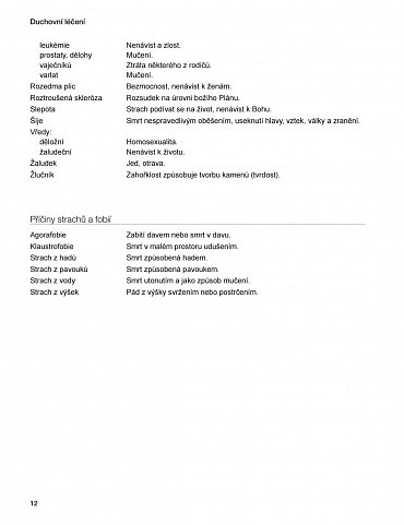 Náhled Duchovní léčení