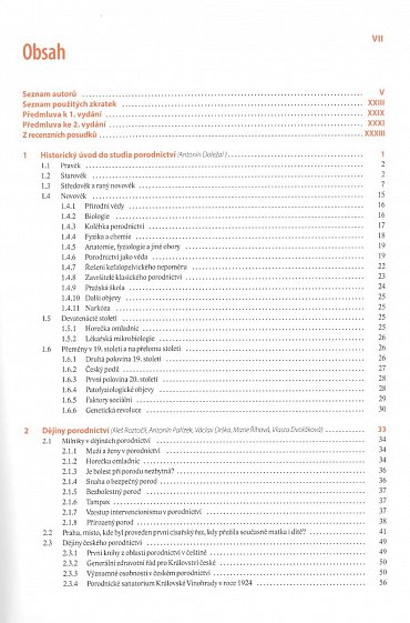 Náhled Moderní porodnictví