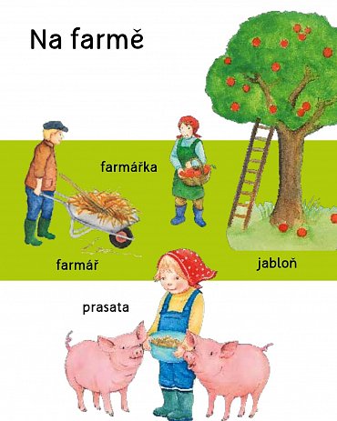 Náhled Můj obrázkový slovníček