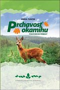 Prchavosť okamihu