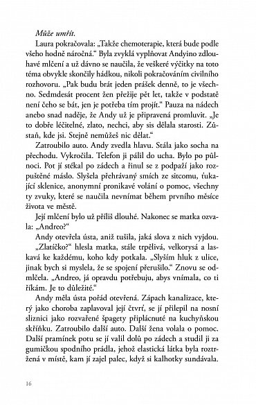 Náhled Mozaika lží