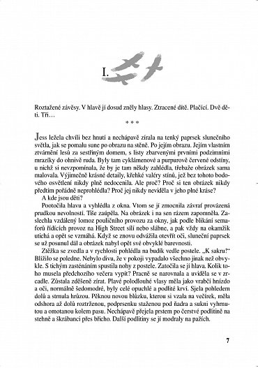 Náhled Údolí havranů, 2.  vydání