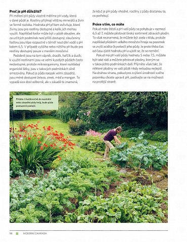 Náhled Moderní zahrada