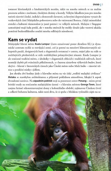 Náhled Malajsie, Singapur, Brunej - Turistický průvodce