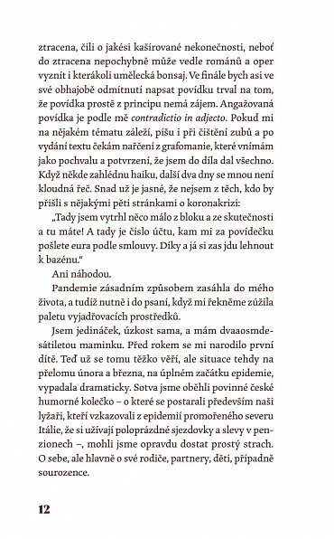 Náhled Objekty v zrcadle jsou blíž, než se zdají být - Sborník povídek