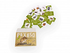 Papírové pexeso - Z našeho lesa