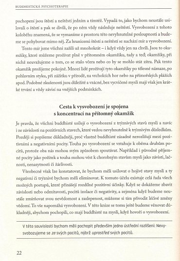 Náhled Buddhistická psychoterapie - Techniky pro uzdravující změny