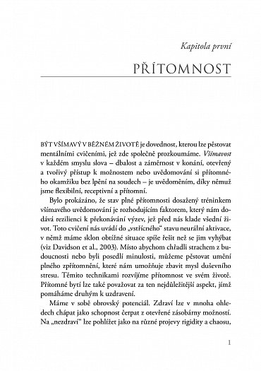 Náhled Všímavý terapeut - Vnitřní nazírání a nervová integrace - příručka pro klinickou praxi