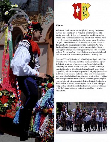 Náhled Koně pro krále