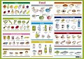 Food / Jídlo - Naučná karta
