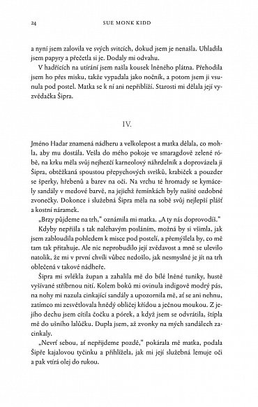 Náhled Kniha tužeb