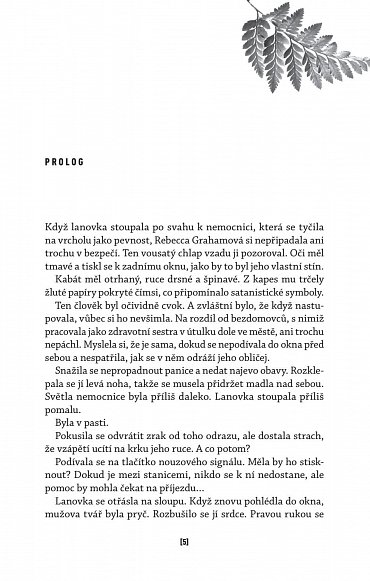 Náhled Temný vzorec