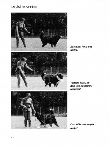 Náhled Tahání na vodítku