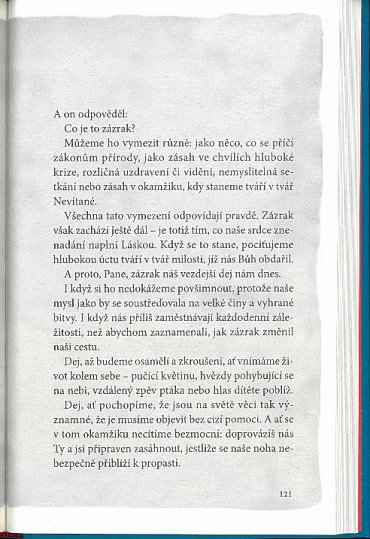 Náhled Rukopis nalezený v Akkonu