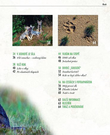 Náhled Vlci - Na toulkách s fotografem zvířat Axelem Gomillem