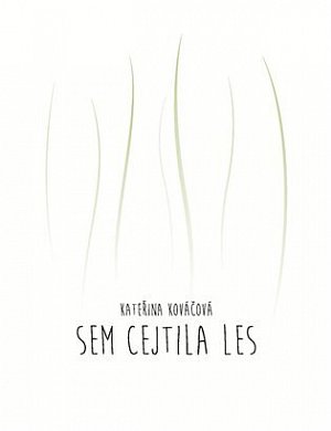 Sem cejtila les