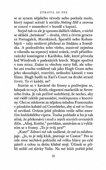 Náhled Ztratil se pes