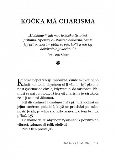 Náhled Chovejte se jako kočka