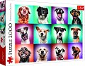Trefl Puzzle Legrační portréty psů II / 2000 dílků