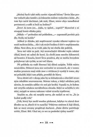 Náhled Smrt před branami