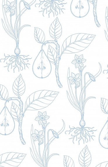 Náhled Život v zahradě