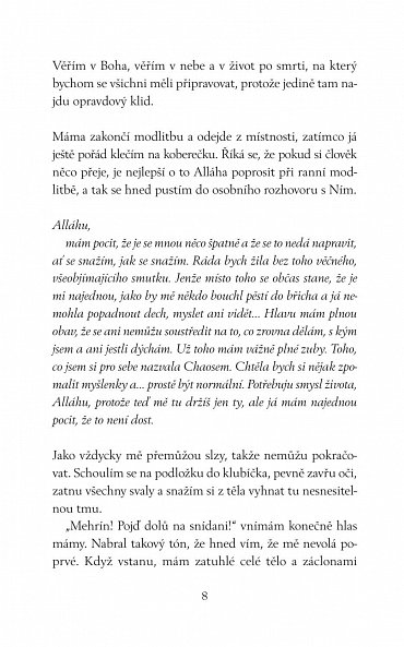 Náhled Co jsme si nikdy neřekli, 1.  vydání