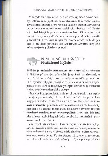 Náhled Krátký návod, jak udělat psa šťastným - 98 základních tipů a technik