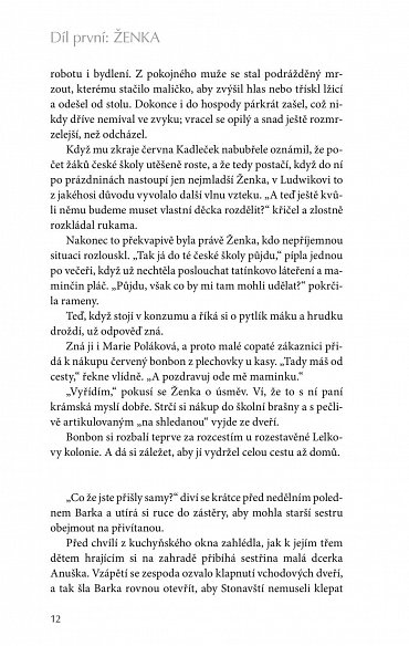 Náhled Šikmý kostel 2 - Románová kronika ztraceného města, léta 1921-1945