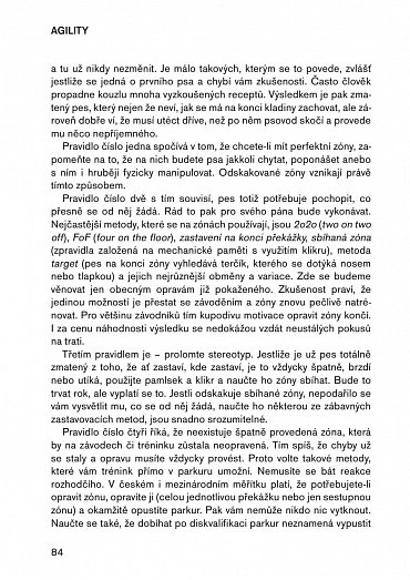 Náhled Agility pro pokročilé