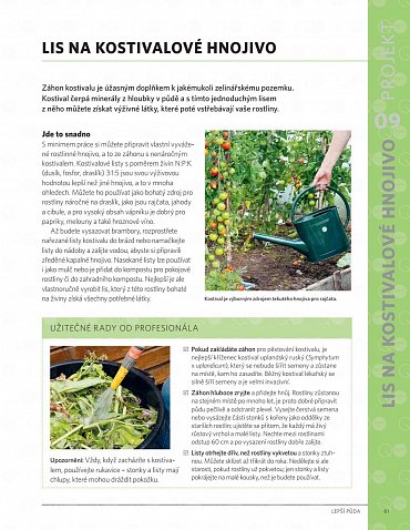 Náhled Moderní zahrada