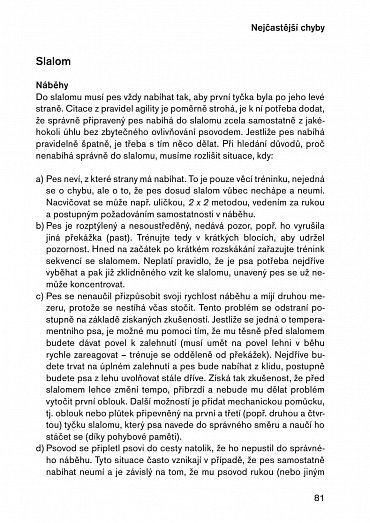 Náhled Agility pro pokročilé