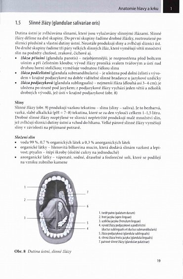 Náhled Stomatologie I pro SZŠ a VOŠ