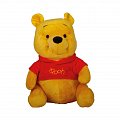 Medvídek Pú velký pyšák