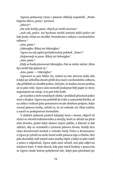 Náhled Půl žlutého slunce, 2.  vydání