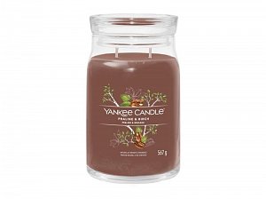 YANKEE CANDLE Praline & Birch svíčka 567g / 2 knoty (Signature velký)