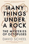 Many Things Under a Rock: The Mysteries of Octopuses