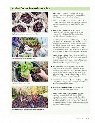 Náhled Moderní zahrada