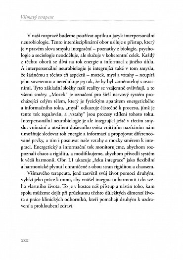 Náhled Všímavý terapeut - Vnitřní nazírání a nervová integrace - příručka pro klinickou praxi