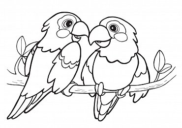 Náhled Omalovánky se zvířátky