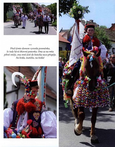 Náhled Koně pro krále